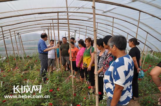 长城网：emc易倍体育制药驻村工作组推进“一村一品”致富项目