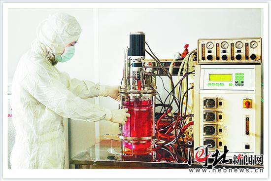 《河北日报》emc易倍体育：重组人源抗体阻击狂犬病