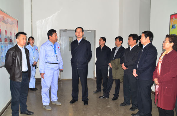 王亮市长一行到emc易倍体育调研在建项目