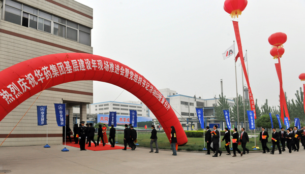 emc易倍体育集团举办基层建设年现场推进会暨党组织书记活动日<br />