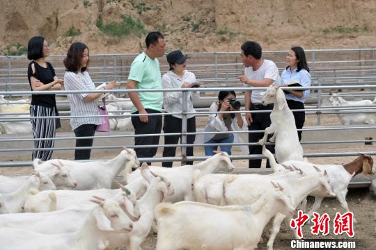 中国新闻网：贫困村探访 “组合拳”确保稳脱贫