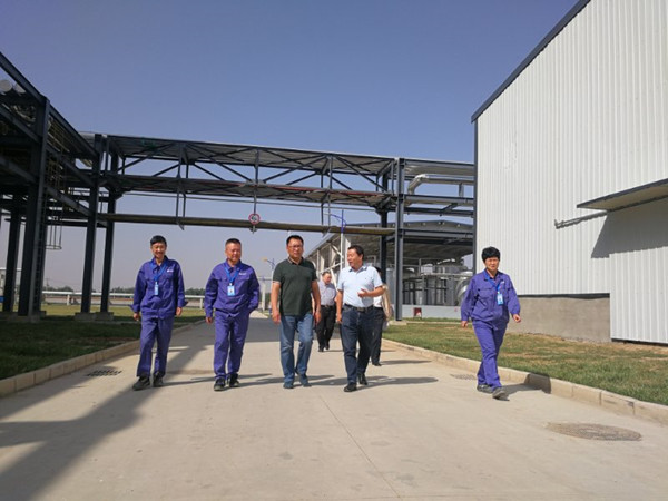 省国资委、冀中能源集团领导来华恒调研